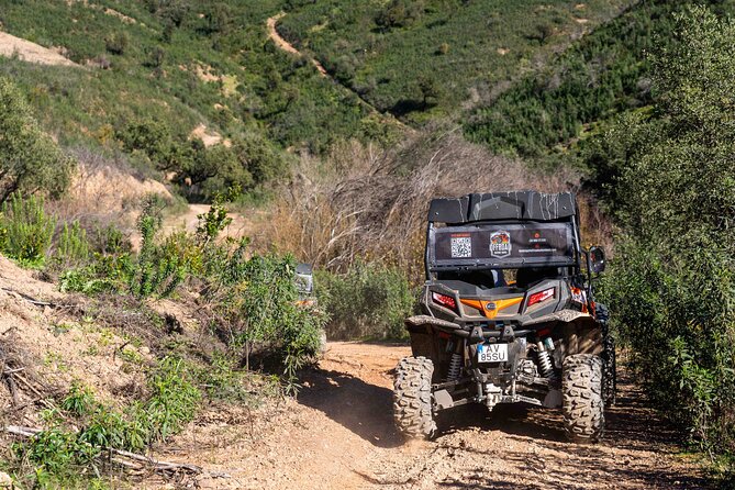 Dirt & Dust Paradise Buggy Day Tour at Silves Portugal - Group Size Options