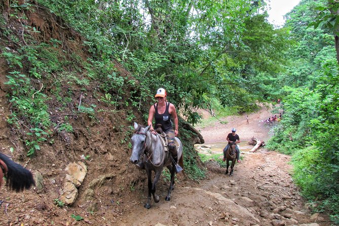 Discover a Nature Reserve on Horseback - Booking Information and Pricing Details