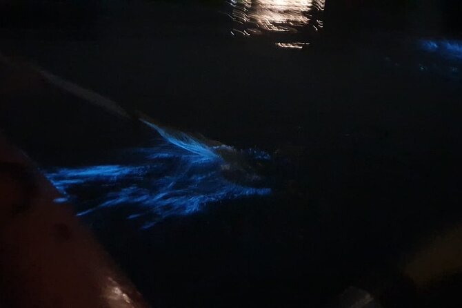 Discover Bioluminescent Plankton Using Kayak in Lan Ha Bay - Captivating Night-time Scenery