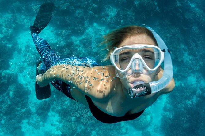 Discover Scuba Diving Adventure in Dubai With Private Transfer - Booking Process and Availability