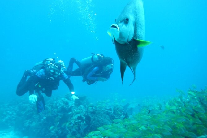 Discover Scuba - Participant Requirements