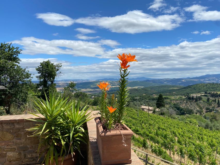 Discover Small Organic and Biodynamic Brunello Wineries - Exclusive Montalcino Wine Experience