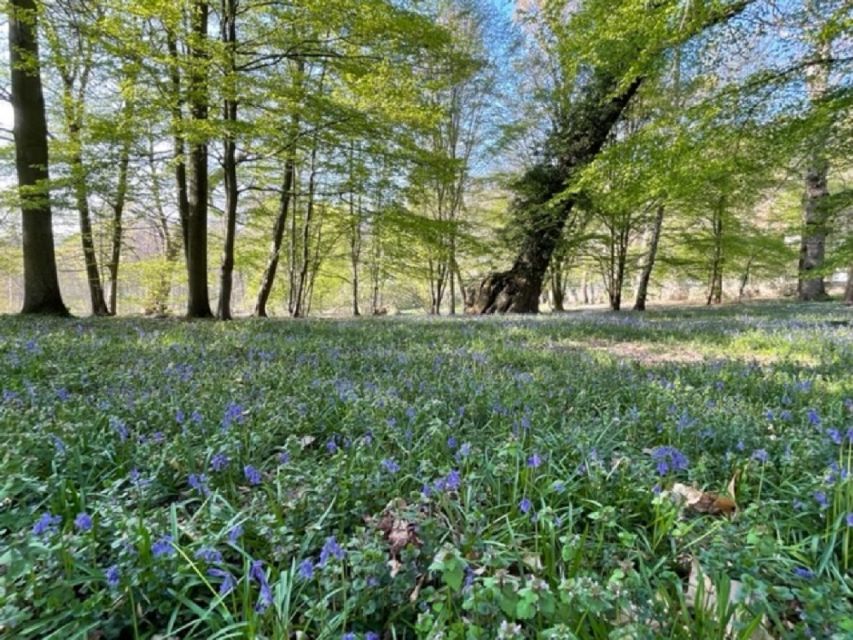 Discover the Bièvres Valley & History Through a Walking Show - Guide Information