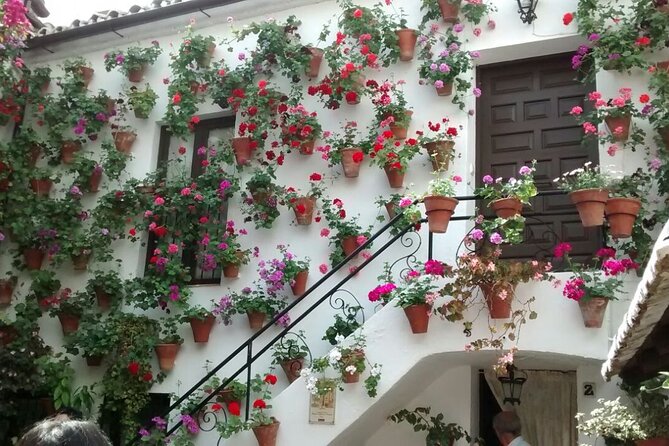 Discover the Patios De Córdoba: Guided Tour - Cancellation Policy