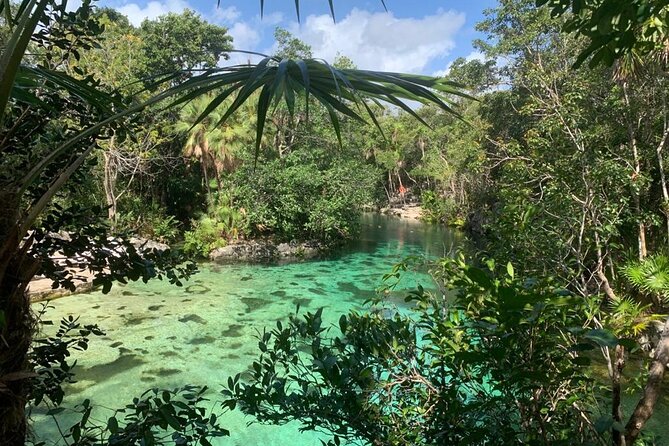 Discovery Tsonoti in Day of Non Touristic Cenotes - Itinerary for the Day