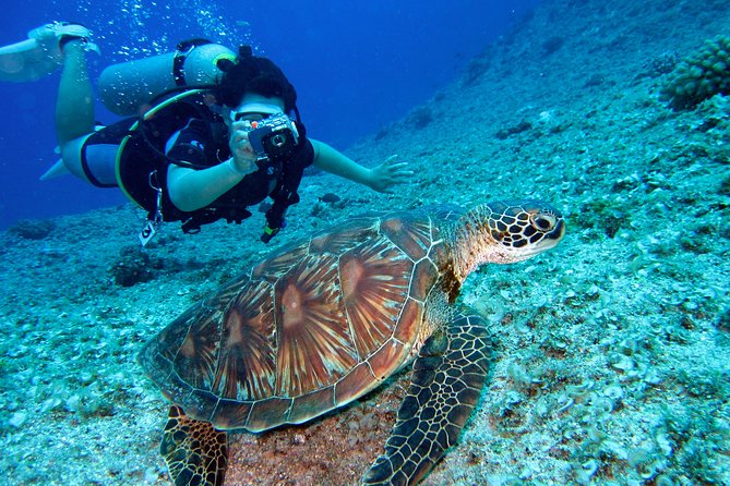 Diving Baptism - Various Diving Sites With Scenic Views