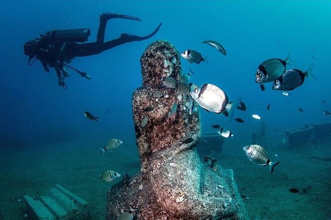 Diving Trip in Side With Underwater Museum Tour Diver Training - Additional Information