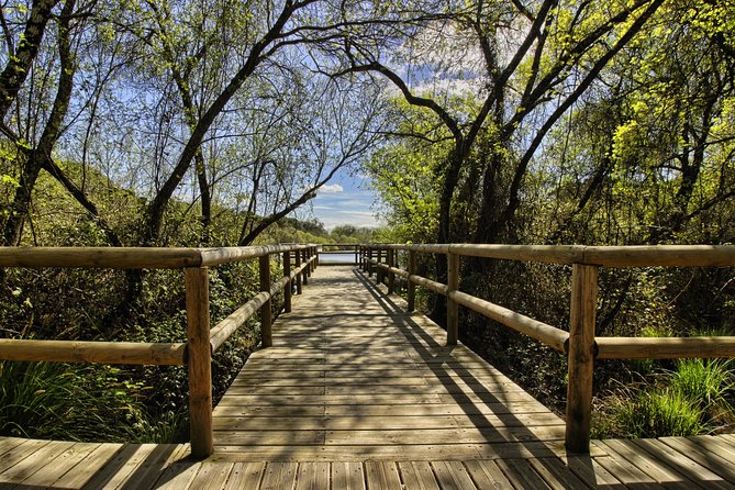 Donana National Park in Two Days From Seville - Day 2: Discover Doñanas South Area