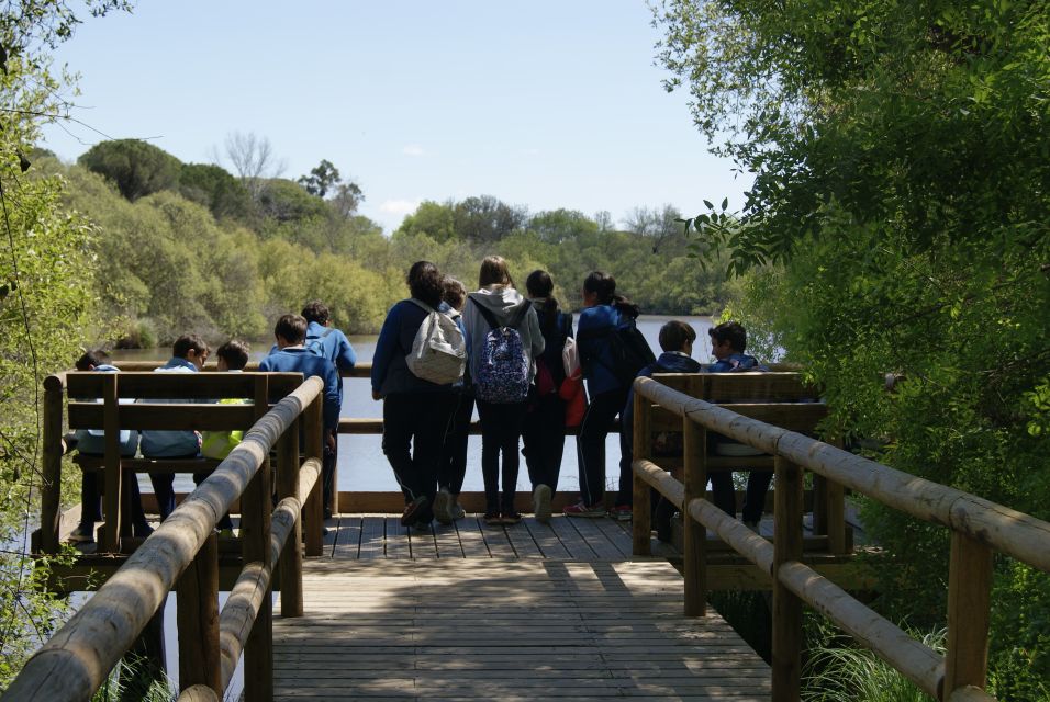 Doñana National Park Off-Road Tour From Seville - Tour Highlights and Itinerary