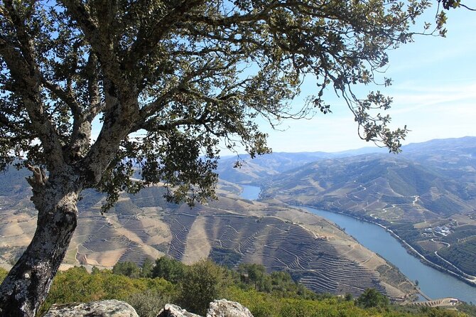 Douro Private Day Tour With Boat Ride - Booking Details