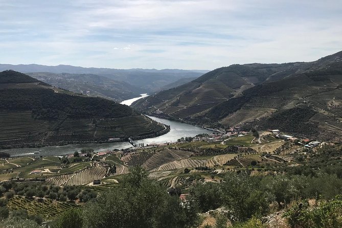 Douro Valley Private Tour: River Cruise, Lunch and Wine Tasting in a Vineyard - Wine Tasting Adventure