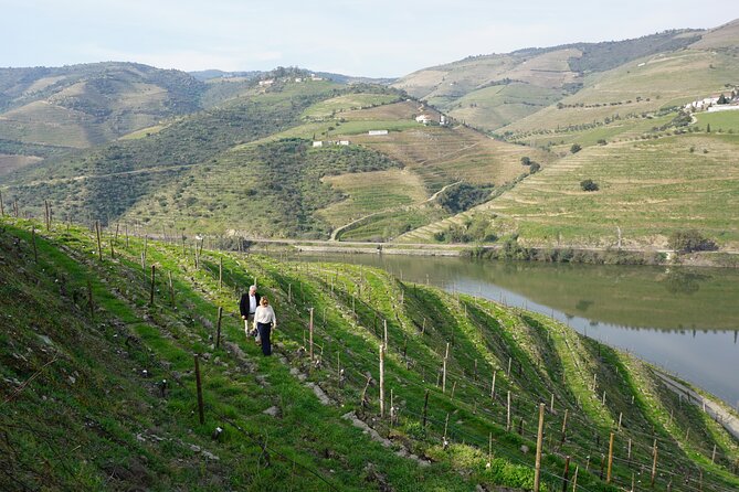 Douro Valley Private Tour With Wine Tasting and Boat Tour - Itinerary Details