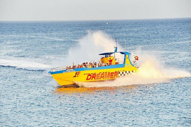 Dreamer Cave and Dolphins Boat Tour From Albufeira - Customer Reviews