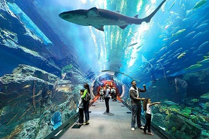 Dubai Aquarium and Underwater Zoo Admission Tickets. - Additional Information