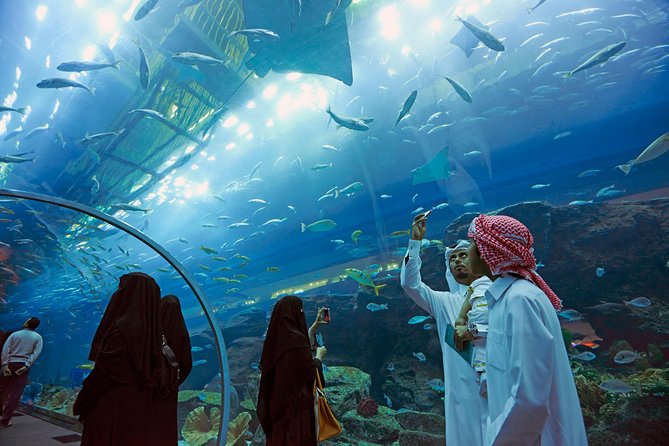 Dubai Aquarium and Underwater Zoo Admission Tickets - Last Words