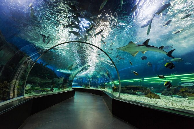 Dubai Aquarium and Underwater Zoo Ticket - Accessibility and Logistics Information