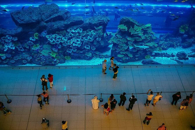 Dubai Aquarium and Underwater Zoo Tickets - Booking Confirmation Details