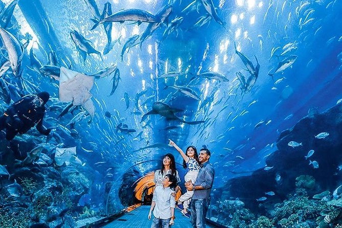 Dubai Aquarium & Underwater Zoo Ticket With Transfer - Key Highlights of Dubai Aquarium & Underwater Zoo