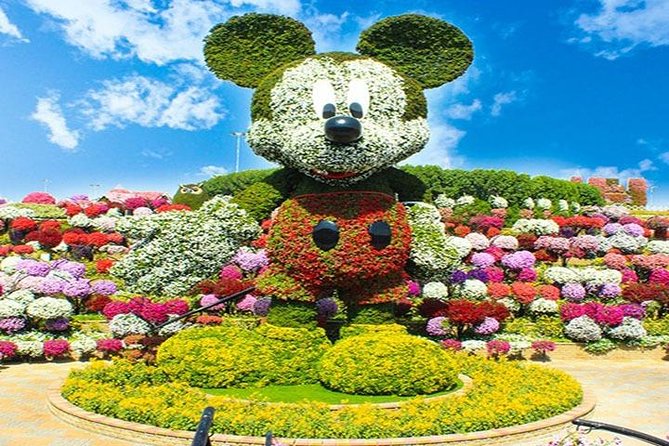 Dubai City Tour With Miracle Garden - Company Background and Information