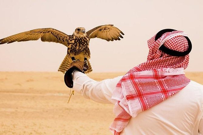 Dubai Desert Safari With Camel Ride, Horse Ride, Falcon Photography & Dinner - Capturing Moments With Falcons