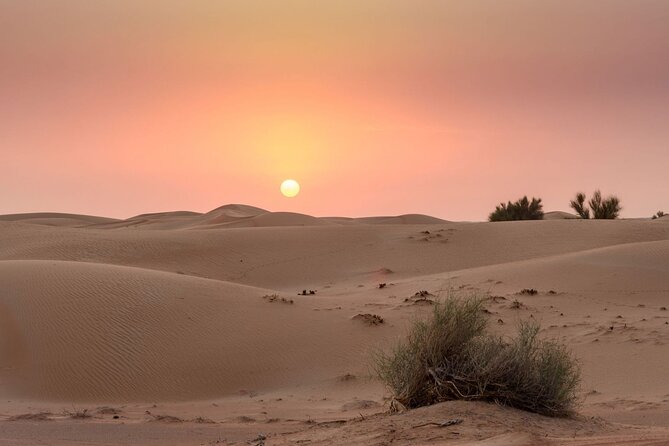 Dubai Evening Desert Safari and Camp With Dinner - Ride a Camel Through the Dunes