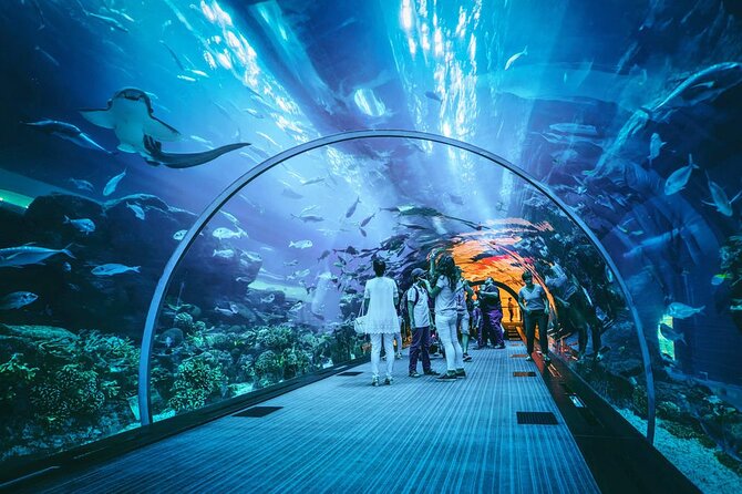 Dubai Mall Aquarium and Underwater Zoo Ticket - Cancellation Policy