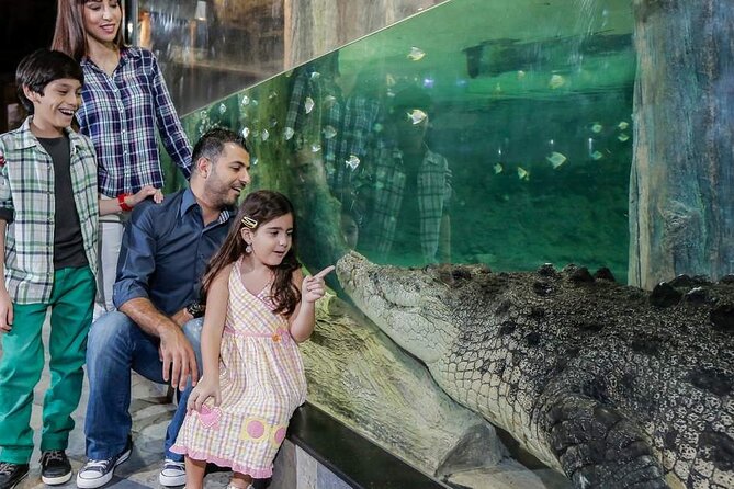 Dubai Mall Aquarium & Underwater Zoo Ticket With Private Transfer - Experience Location and Accessibility