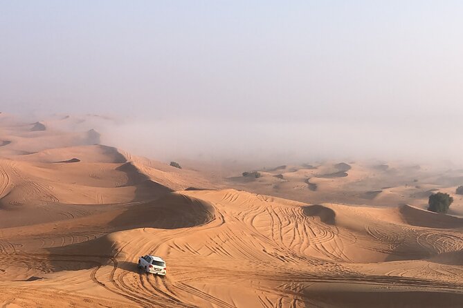 Dubai Morning Desert Safari ( Private Tour ) - Additional Experience Details