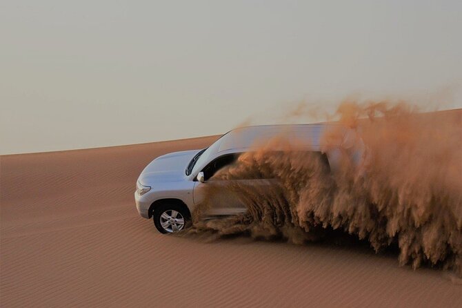 Dubai Red Dunes Morning Safari With Camel Ride - What To Expect