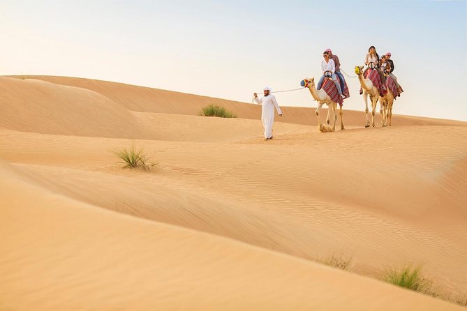 Dubai Red Dunes Safari by Quad Bike, Sand Boarding, Camel Ride & BBQ Dinner - Cancellation Policy