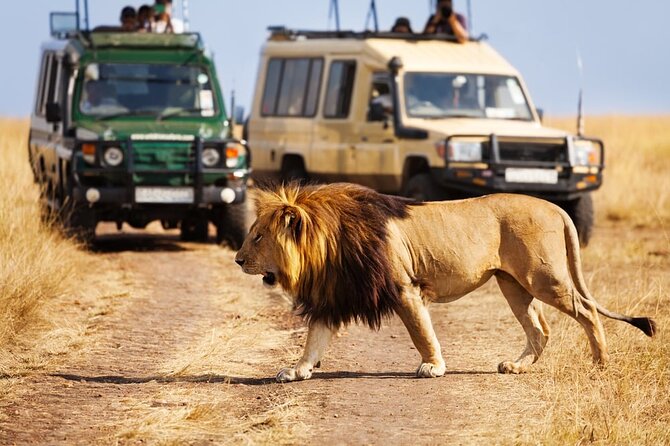 Dubai Safari Park With Transfer - Cancellation and Refund Policy