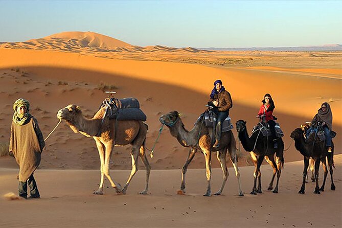 Dubai Sunset Desert Tour: Sandboarding, Dune-Bashing & Dinner - Pricing & Offers