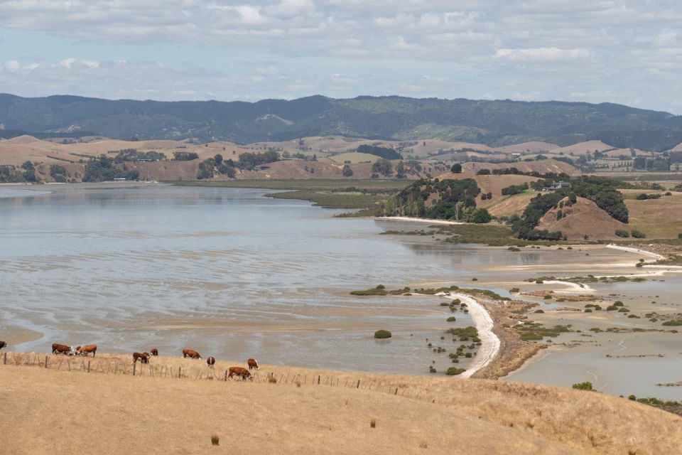 Duder Regional Park Walking Tours - Tour Highlights