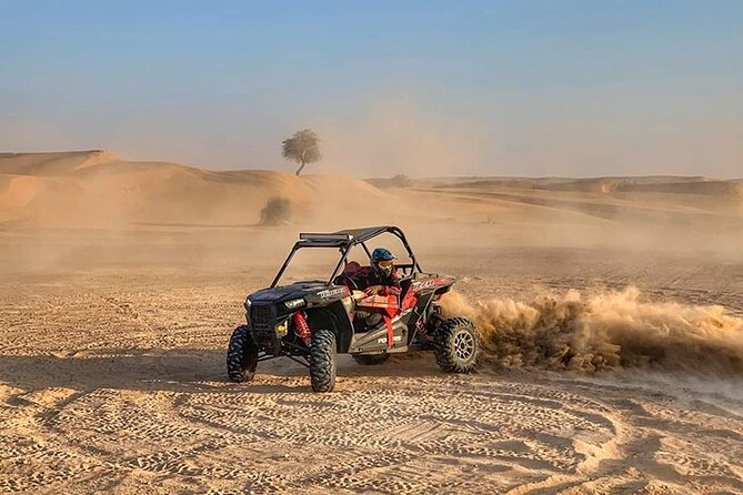 Dune Buggy Ride in High Red Dunes With Desert Safari Activities - Important Tour Information