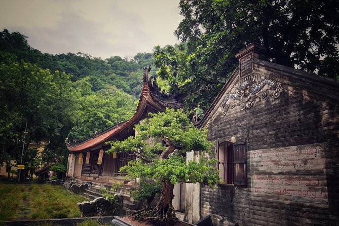 Duong Lam Ancient Village - Thay Pagoda - Van Phúc Silk - Traveler Reviews and Ratings