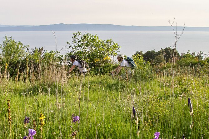 E-Bike Tour at Historical Villages of Makarska - Safety Guidelines