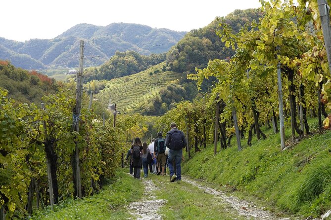 E-Bike Tour in Valdobbiadene With Wine Tasting and Typical Food - Experience Highlights