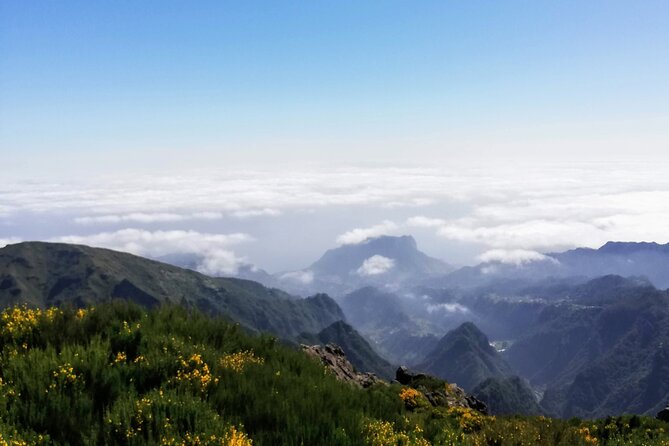 East Madeira Tour With Pico Do Areeiro and Machico  - Funchal - Cancellation Policy and Requirements