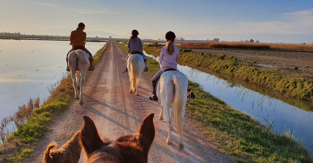 Ebro Delta National Park: Guided Horseback Riding Tour - Available Languages and Reviews