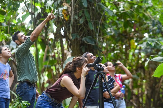 Ecogarden Arenal Sloth Tour - Expert Guided Experience