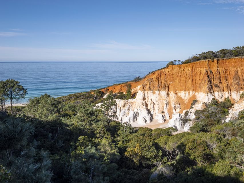 Eden: 2 Hour Highlights Tour, Nature, Beaches and Lookouts - Meeting Point