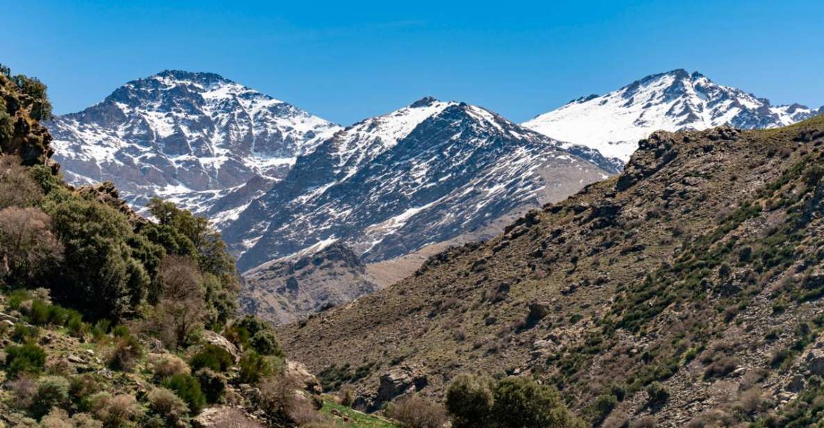 Epic Granada Adventure: Sierra Nevada's Summits - Flora and Fauna Discovery