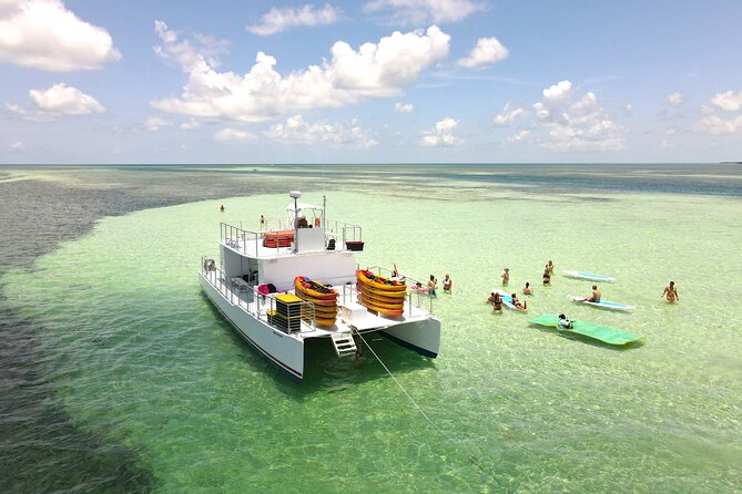 Epic Sandbar Safari With Dolphin Playground Encounter In Key West - Overall Customer Experience and Feedback