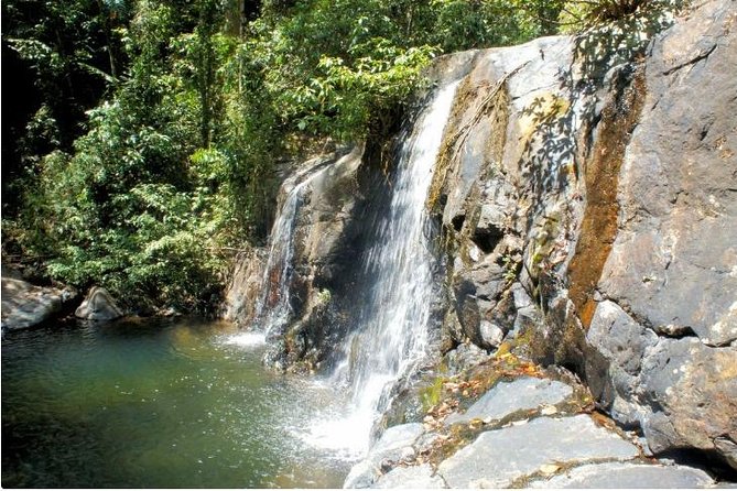 Estrella Falls Excursion From Puerto Princesa - Meeting Point