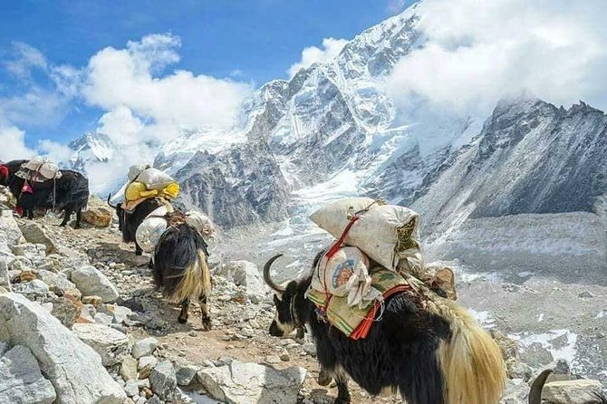 Everest Base Camp With Chola Pass via Gokyo Lakes - Trekking Itinerary: Namche Bazaar to Machhermo