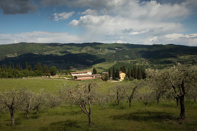 Exclusive Lunch Tour and Wine Tasting at a Chianti Classic Winery - Pricing Details
