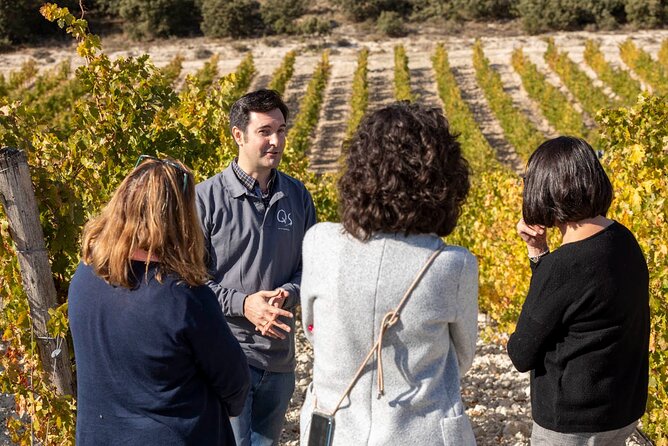 Exclusive Winery Tour and Tasting in the Golden Mile - Accessibility Information