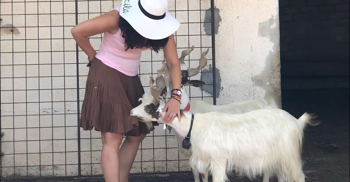 Experience With Girgentan Goats in Agrigento - Language and Program Highlights