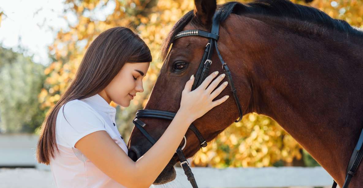 Experience With the Horses: Care, Learning and Dressage - Interact With Horses