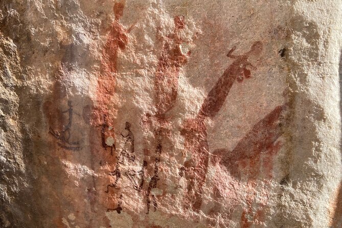 Explore Ancient Rock Art on a Private Guided Trip From Cape Town - Itinerary Details